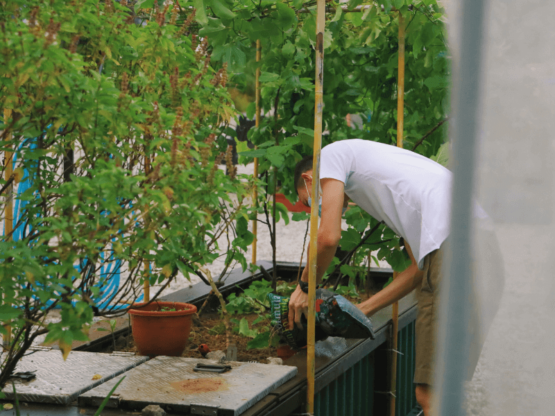 Urban Farming gärtnern